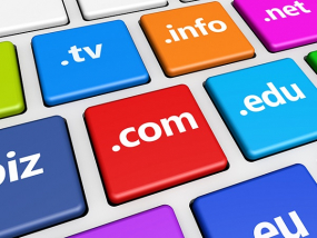A Brief History of the Domain Name